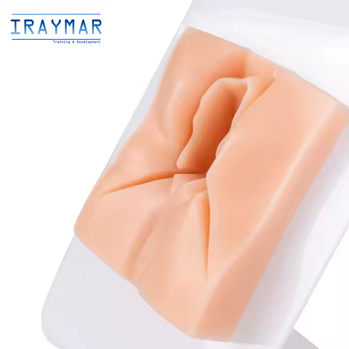 Modelo de sutura de episiotomía