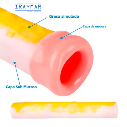 Modelo intestinal de silicona