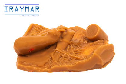 Módulo de vesícula