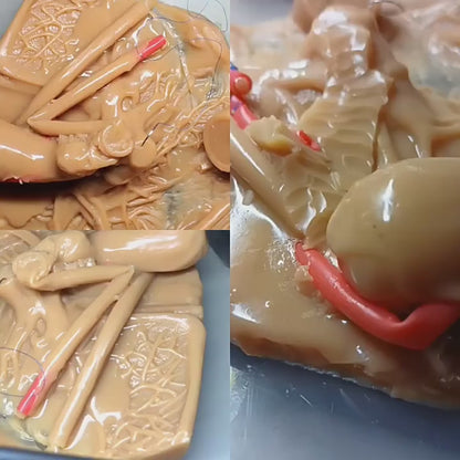 Módulo de vesícula