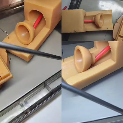 Módulo de anastomosis Uretrovesical